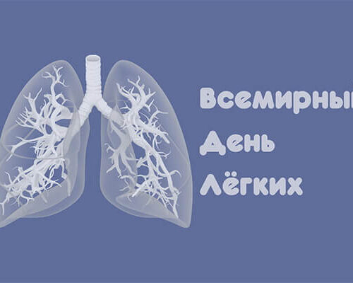 23.09.2024     Лёгкие: структура, функции и заболевания