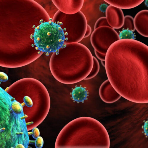 26.11.2024   ЧТО ТАКОЕ ВИЧ/СПИД?