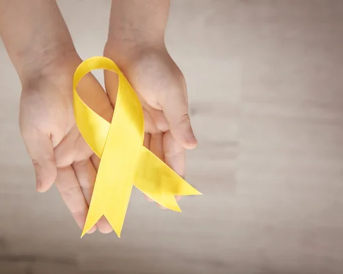 ПРОФИЛАКТИКА СУИЦИДАЛЬНОГО ПОВЕДЕНИЯ НЕСОВЕРШЕННОЛЕТНИХ