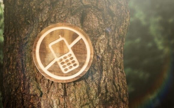 07.10.2026 — Отдых без интернета: нужен ли ребенку «цифровой детокс»
